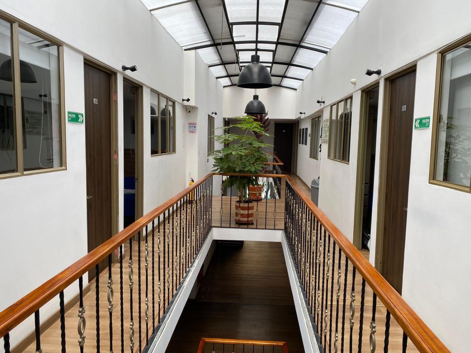 Bed and breakfast Botaniko